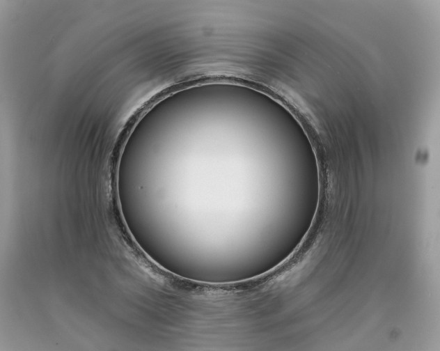 X0000091670782200709061042