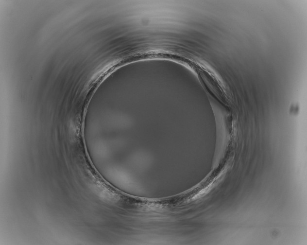 X0000091670785200709061042