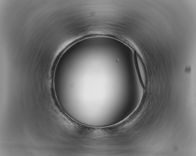 X0000091670787200709061042