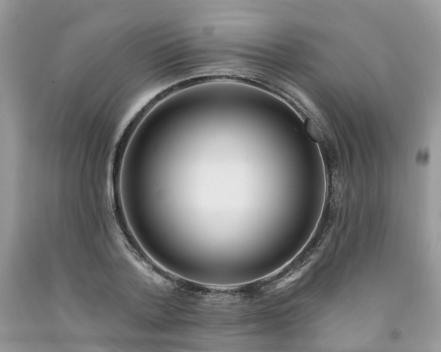 X0000091670788200709061042