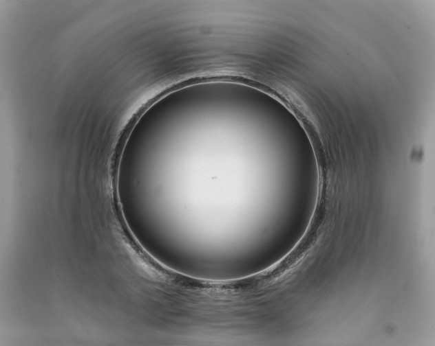 X0000091670789200709061042