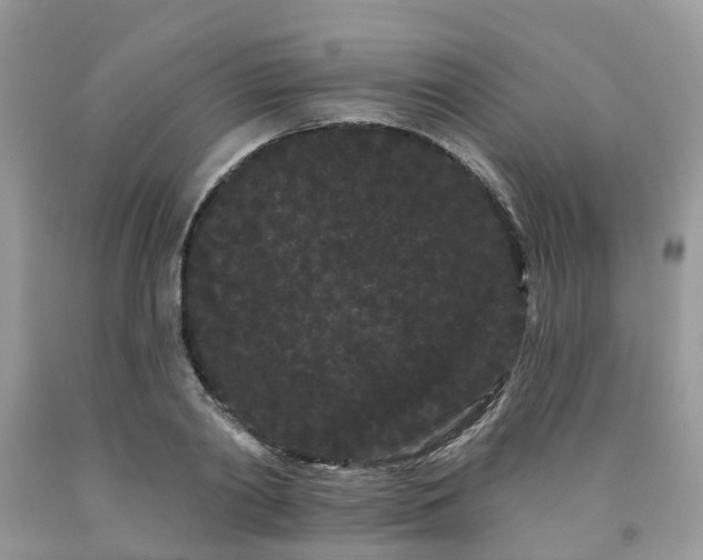 X0000091670790200709061042