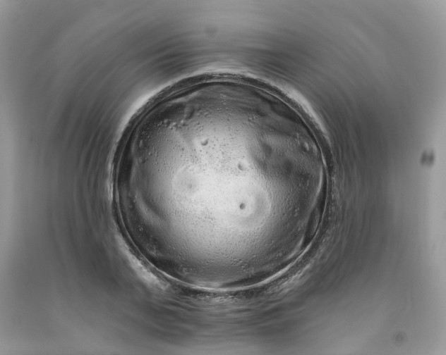X0000091670791200709061042