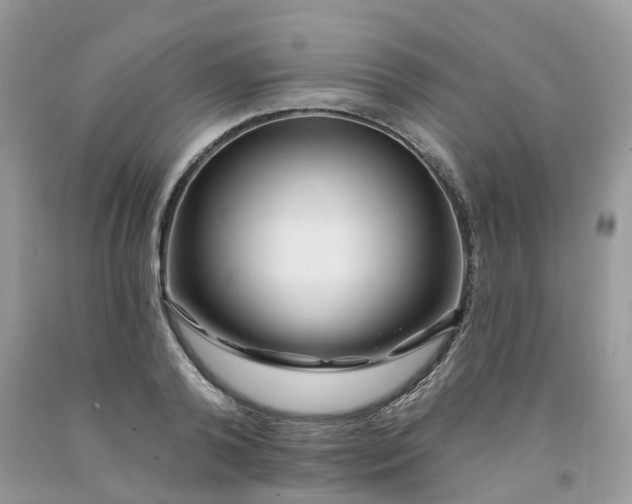 X0000091670792200709061042