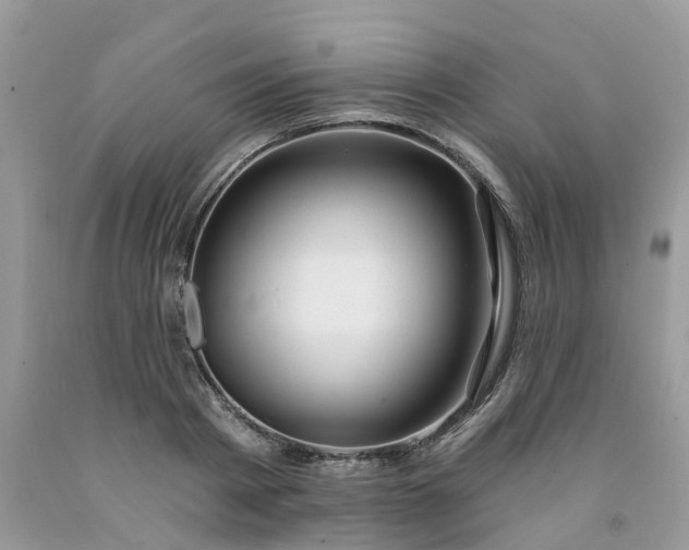 X0000091670793200709061041