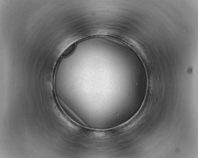 X0000091670794200709061041