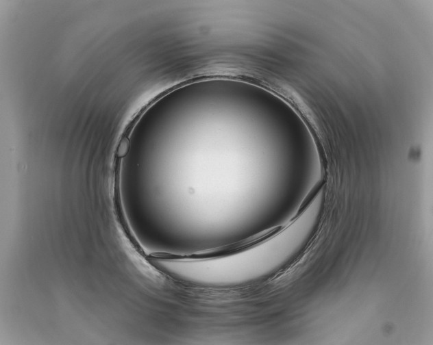 X0000091670795200709061041