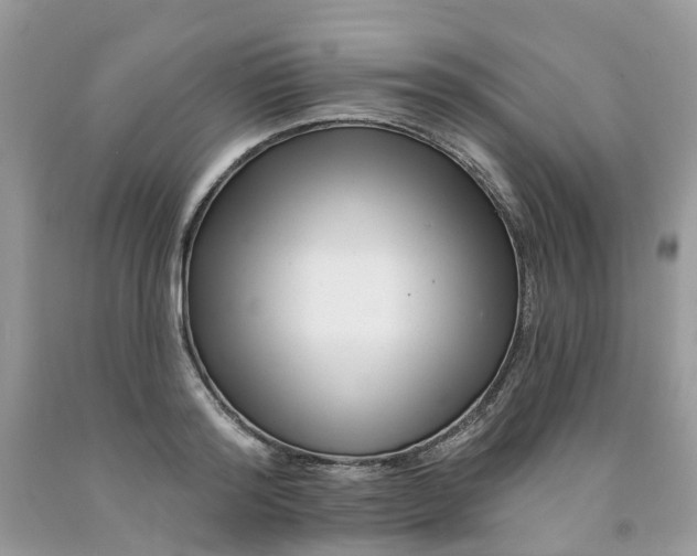 X0000091670796200709061041