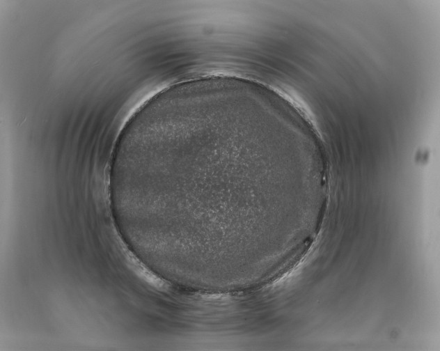 X0000091670798200709061041