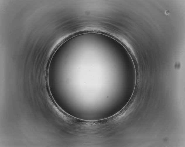 X0000091670799200709061041