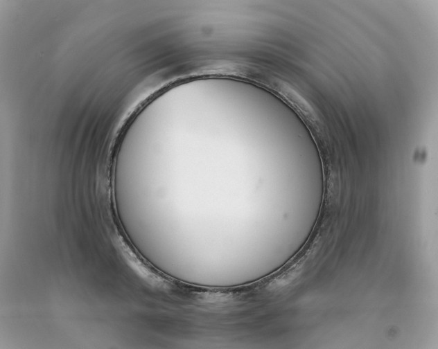 X0000091670800200709061041