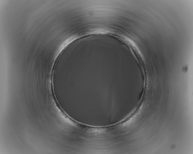 X0000091670802200709061041