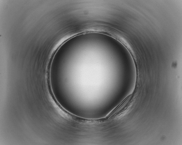 X0000091670803200709061041