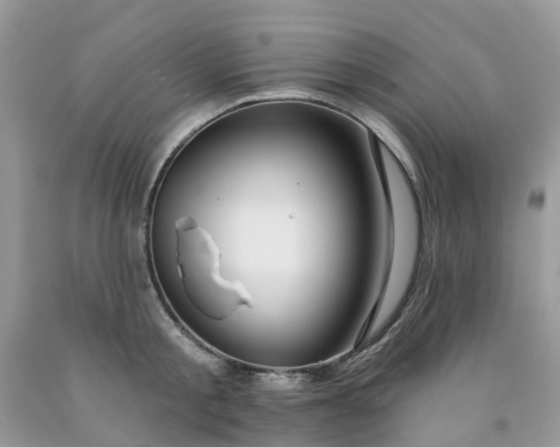 X0000091670805200709061041