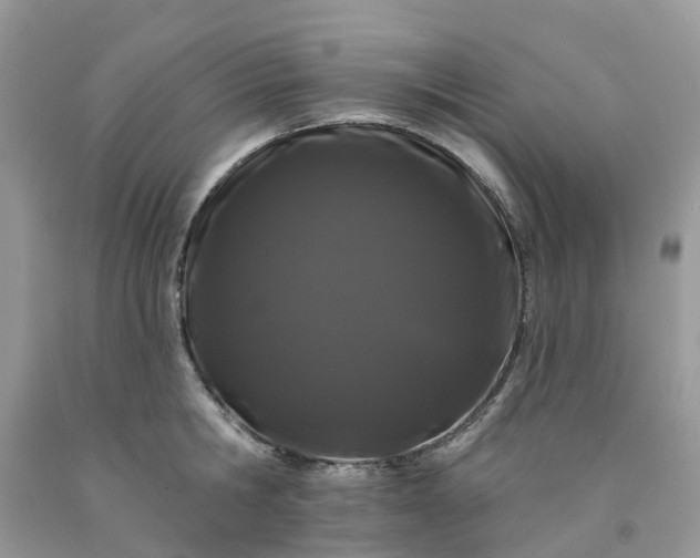 X0000091670806200709061041