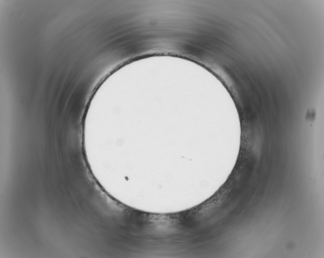X0000091670807200709061041