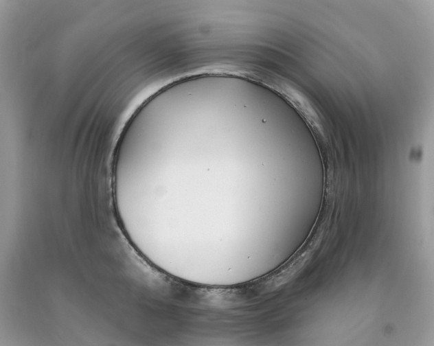 X0000091670808200709061041