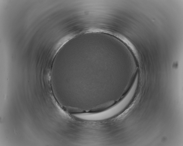 X0000091670809200709061041