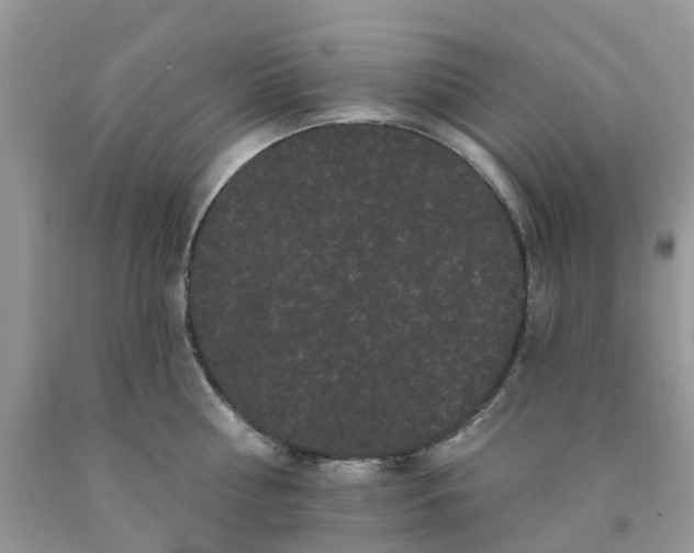 X0000091670810200709061041