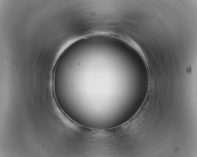 X0000091670811200709061041