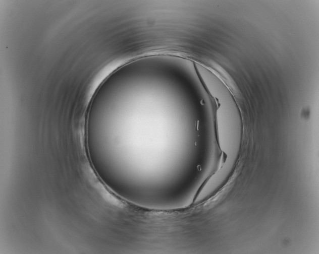 X0000091670812200709061041