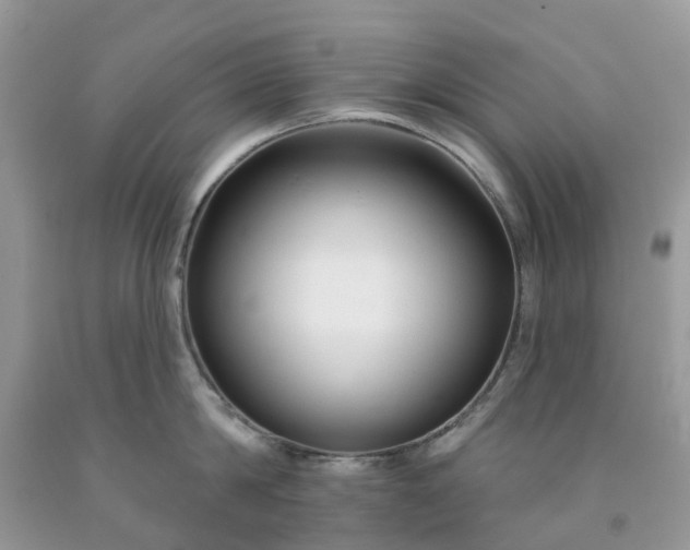 X0000091670814200709061041
