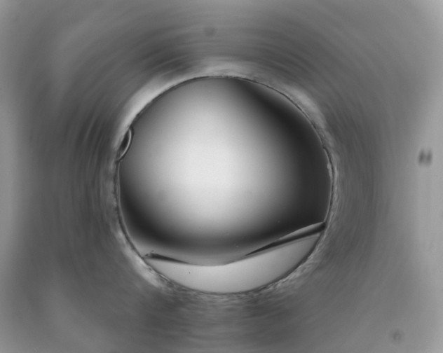 X0000091670816200709061041