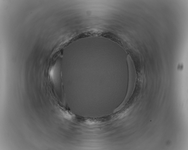 X0000091670818200709061041