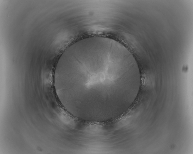 X0000091670820200709061041