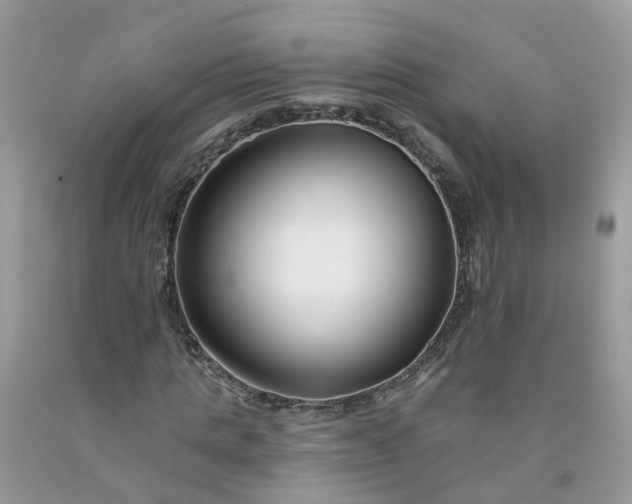 X0000091670821200709061041
