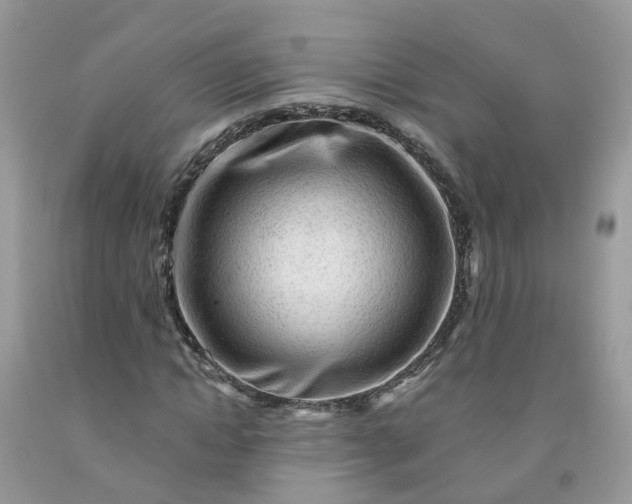 X0000091670822200709061041