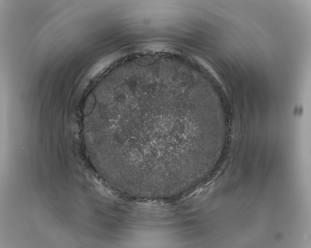 X0000091670823200709061041