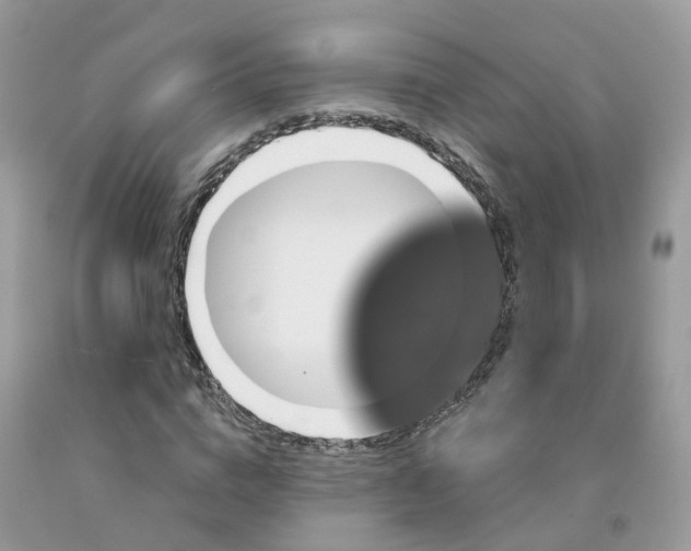 X0000091670824200709061041