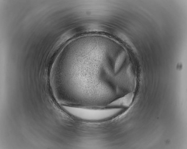 X0000091670825200709061041