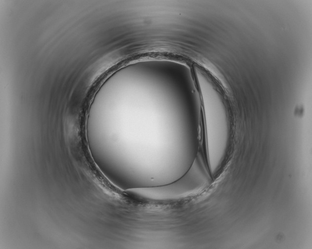 X0000091670826200709061041