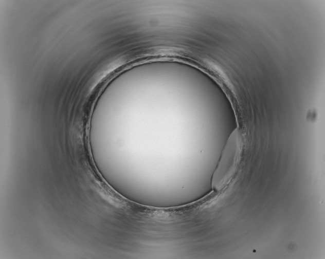 X0000091670827200709061041
