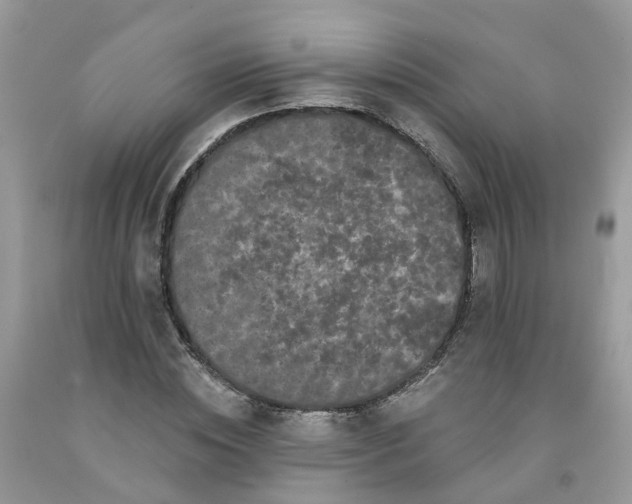 X0000091670828200709061041