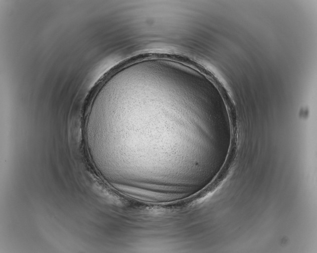 X0000091670829200709061041