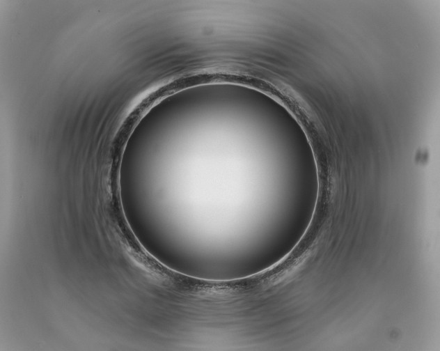 X0000091670830200709061041