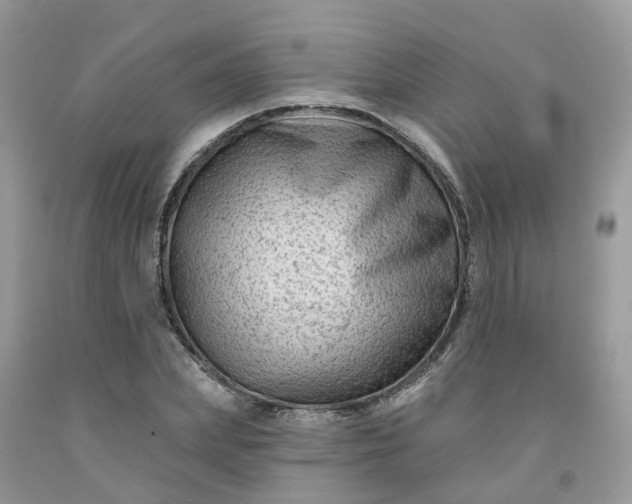 X0000091670831200709061041