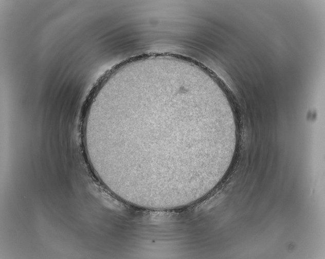 X0000091670832200709061041