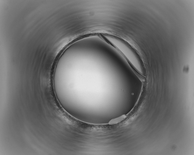X0000091670834200709061041