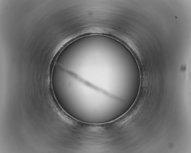 X0000091670837200709061041