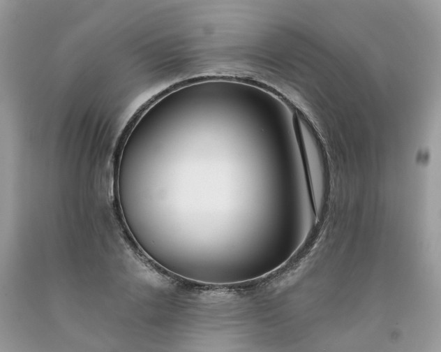 X0000091670838200709061041
