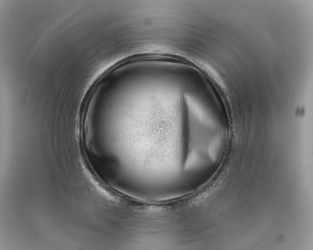 X0000091670839200709061041