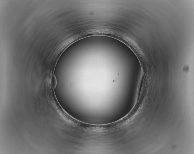 X0000091670841200709061041