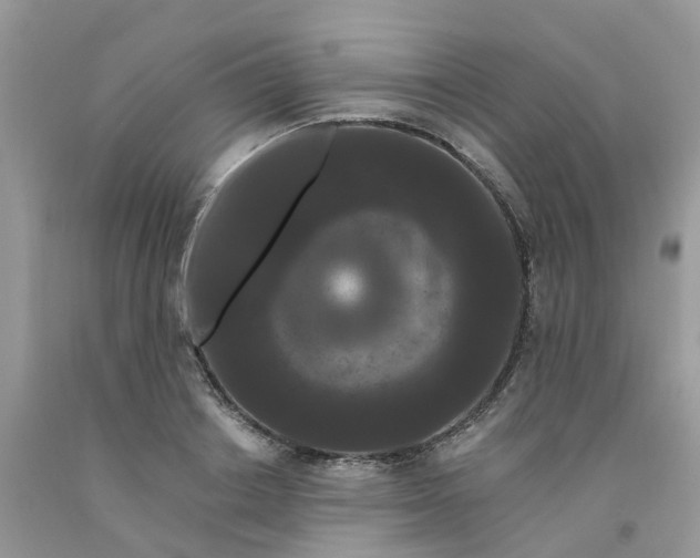 X0000091670842200709061041