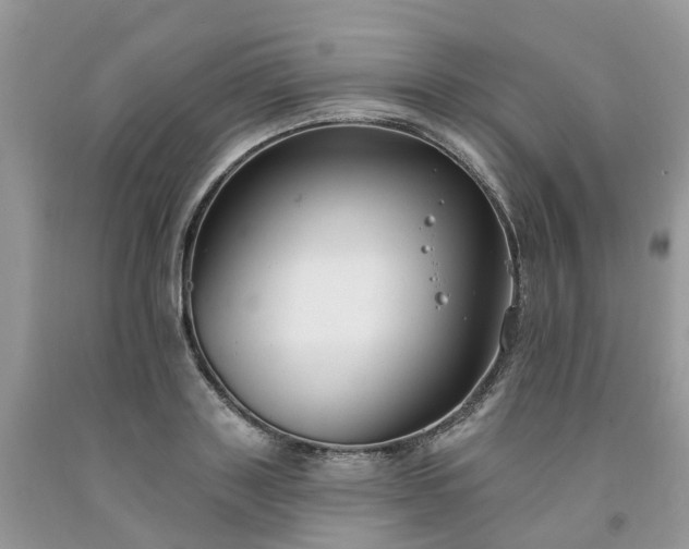 X0000091670843200709061041