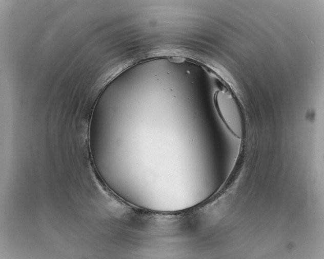 X0000091670849200709061041