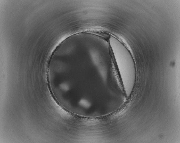 X0000091670851200709061041